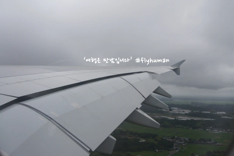 264A444F565D22FC31A396