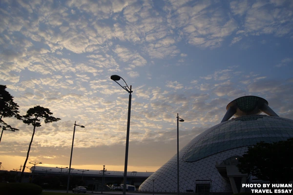 195DA8514DECCA2B315B0B