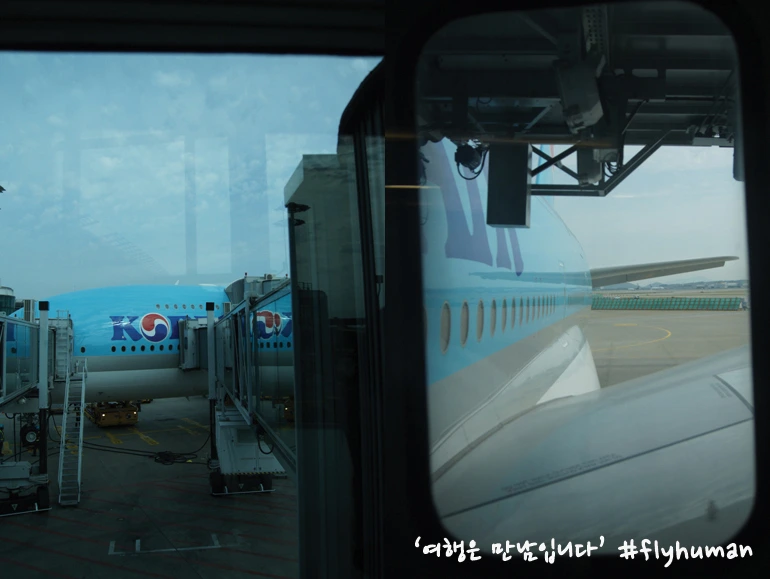 212D763E565B23350F1FFF