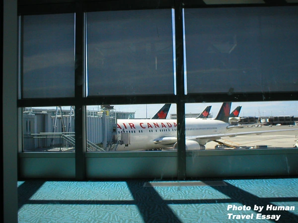 1163044D4DE3ACF02A200C