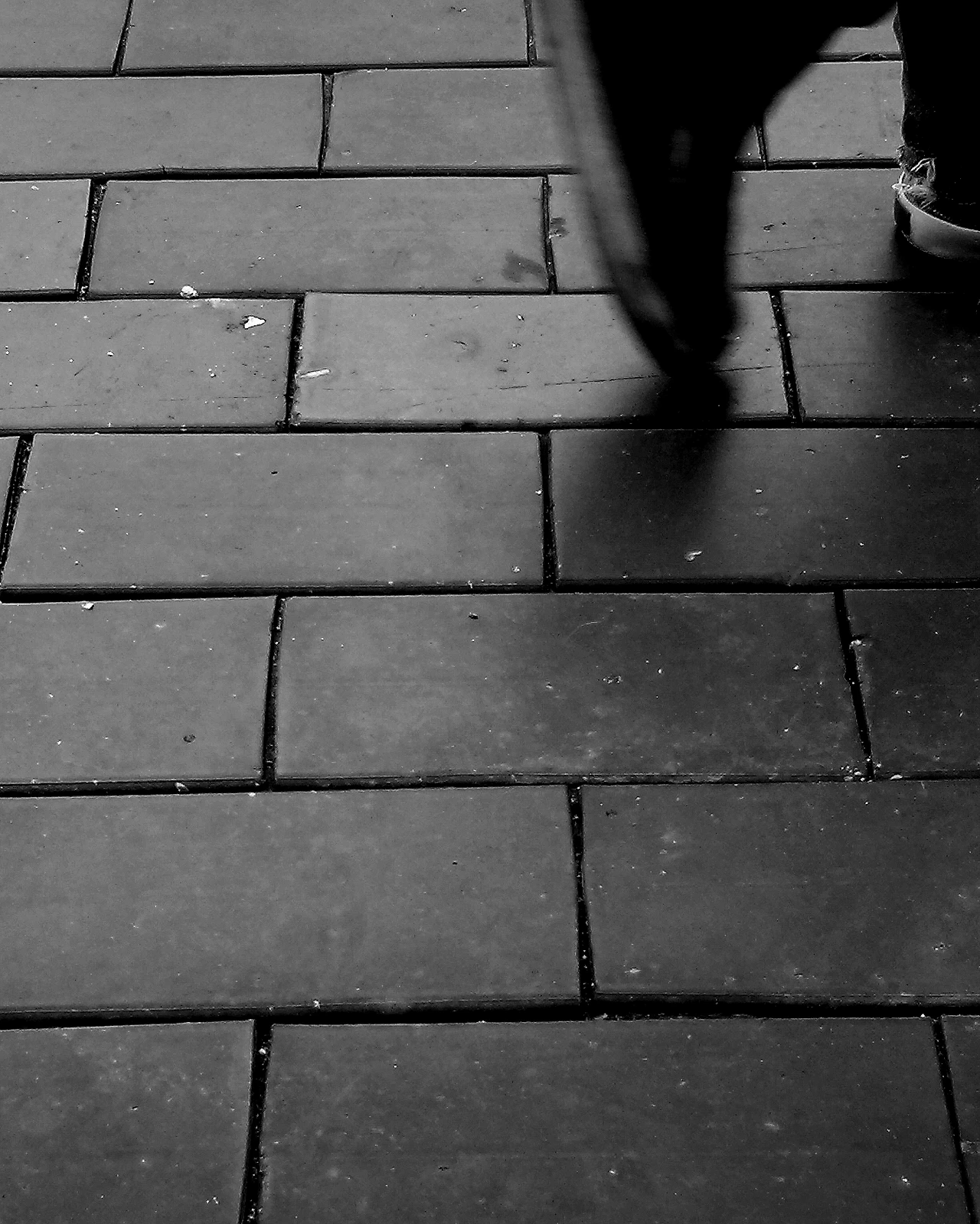 a_phontographer(42) copy.JPG