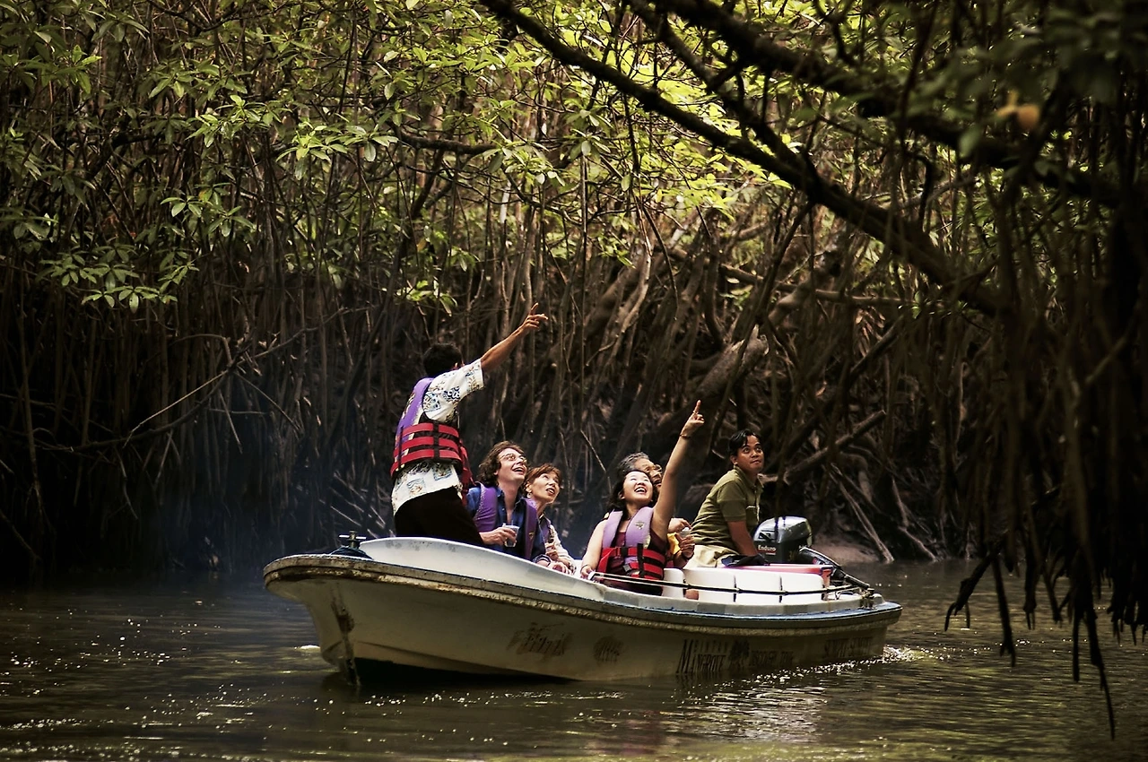 Copy of Mangrove Tour NZpix.JPG