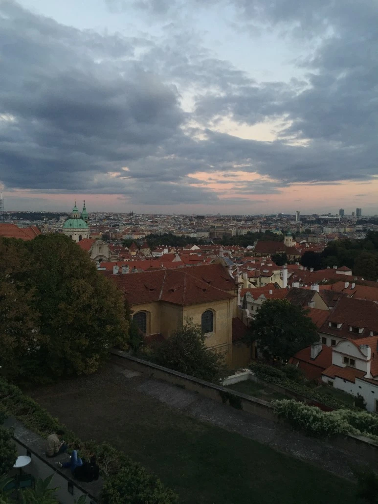 attachImage_535582476.jpeg?type=w773