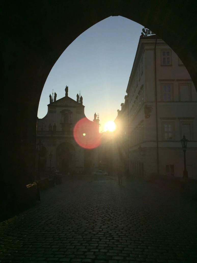 P20151001_145318494_154AA017-1D75-48A6-AC79-A446DA2EF0ED.JPG?type=w773