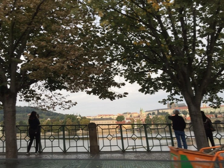 attachImage_1467486317.jpeg?type=w773