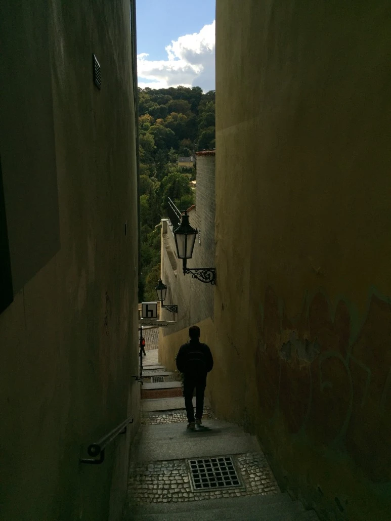 attachImage_1010324784.jpeg?type=w773