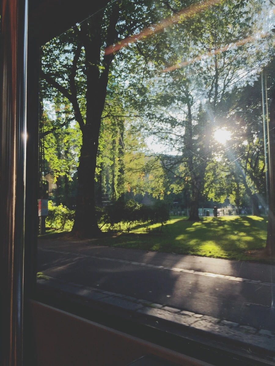 IMG_0807.jpg?type=w1