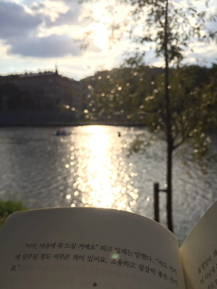 attachImage_3762089244.jpeg?type=w773