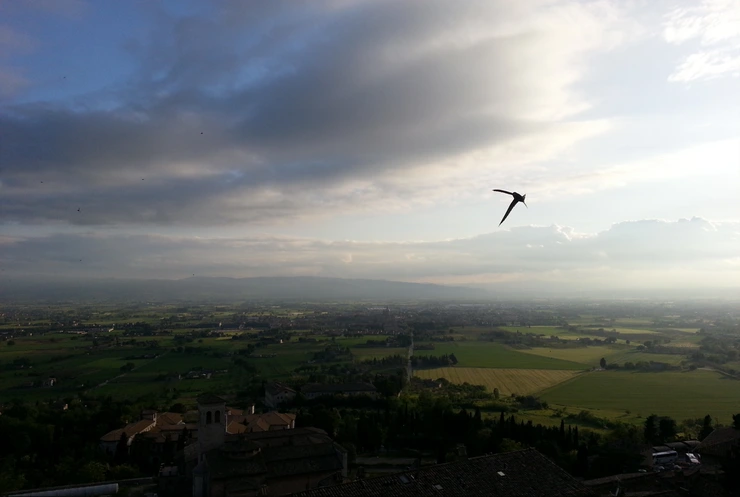 20140429_191240.png?type=w2