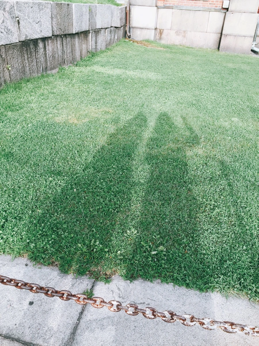 IMG_0245.jpg?type=w1