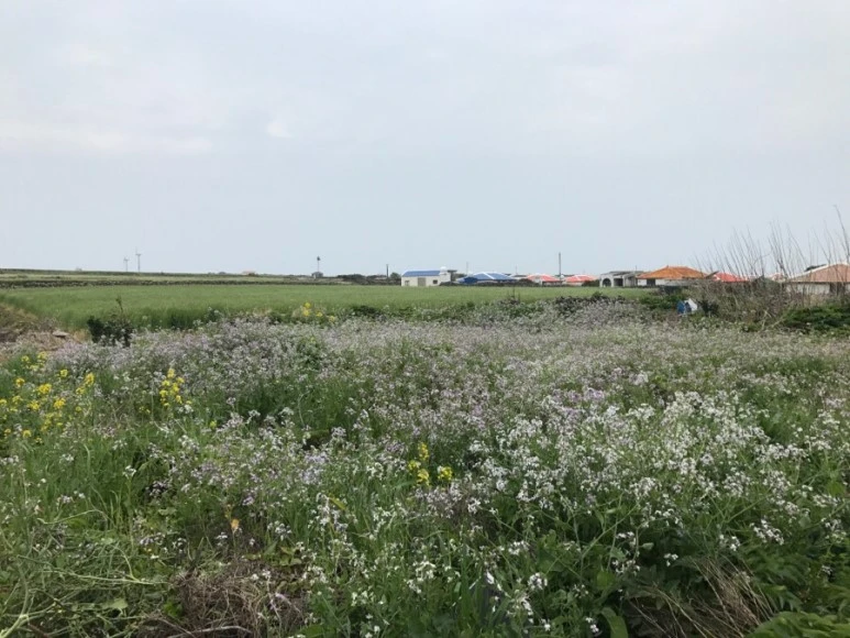 IMG_0357.jpg?type=w773