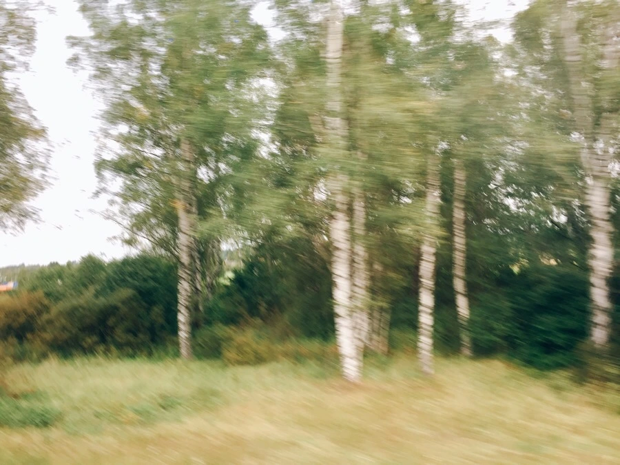 IMG_0887.jpg?type=w1