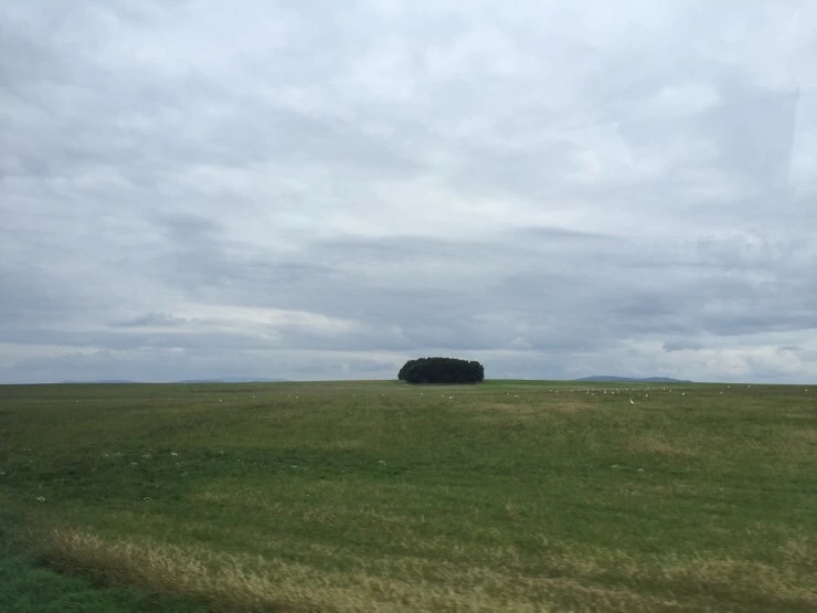 attachImage_3898165578.jpeg?type=w773