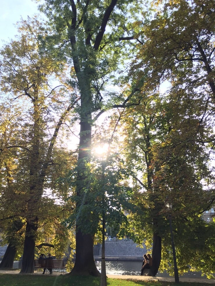 attachImage_3294648719.jpeg?type=w773