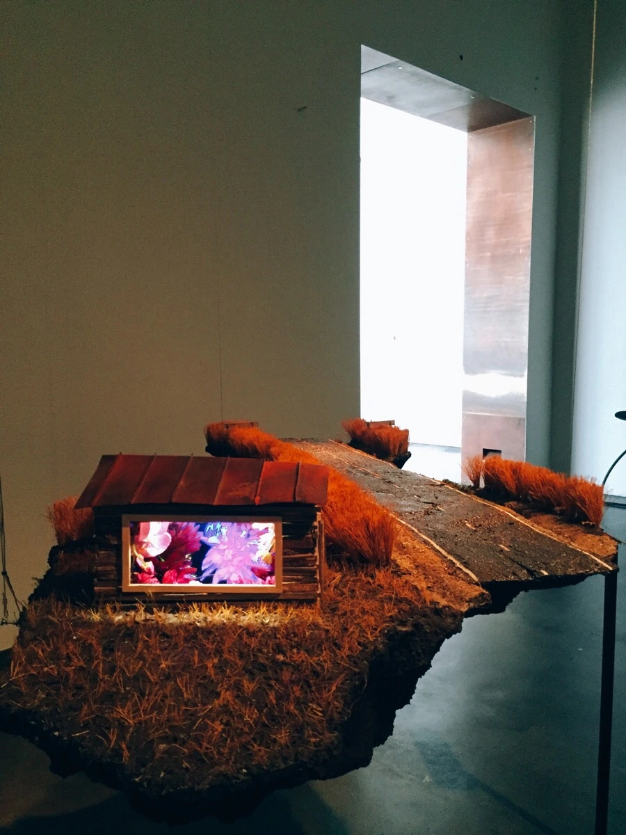 IMG_1211.jpg?type=w1