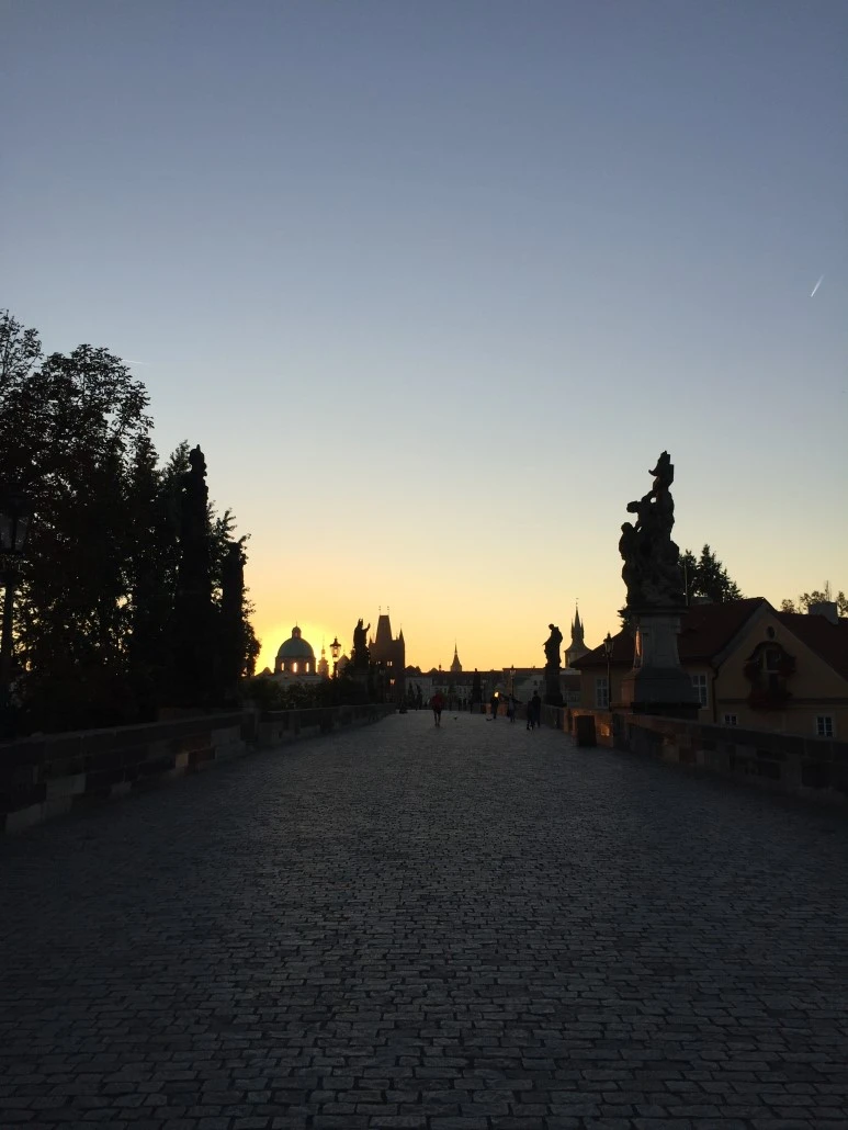 P20151001_142200053_21AF9B2A-E93F-471C-858C-9803B7965144.JPG?type=w773