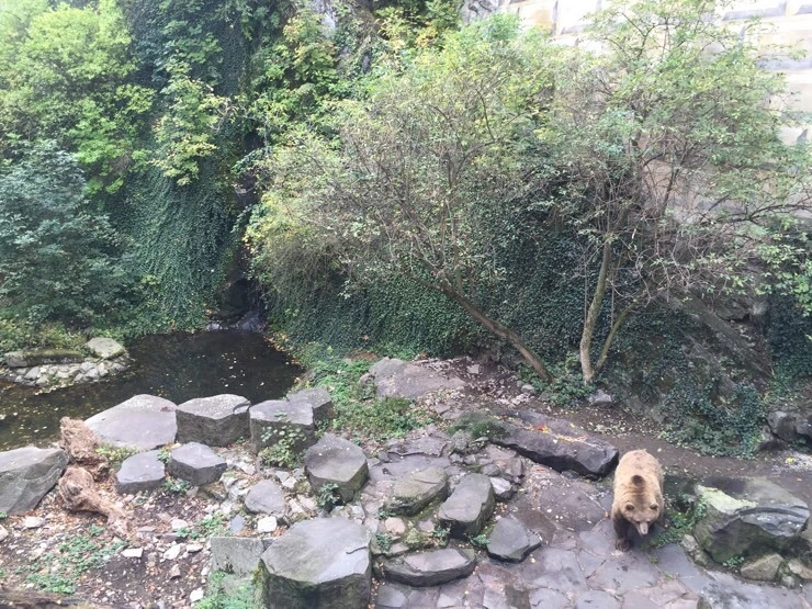 attachImage_2441419718.jpeg?type=w773