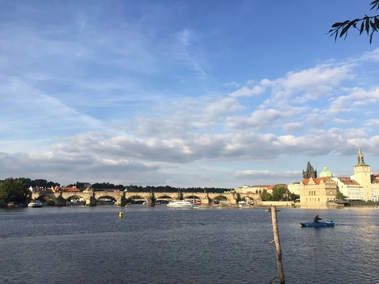 attachImage_541927203.jpeg?type=w773