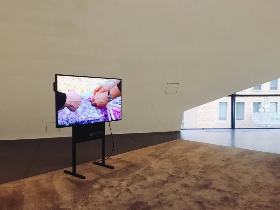 IMG_1309.jpg?type=w1