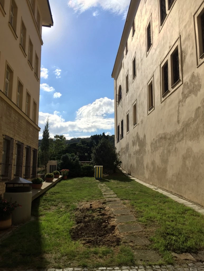 attachImage_841596363.jpeg?type=w773