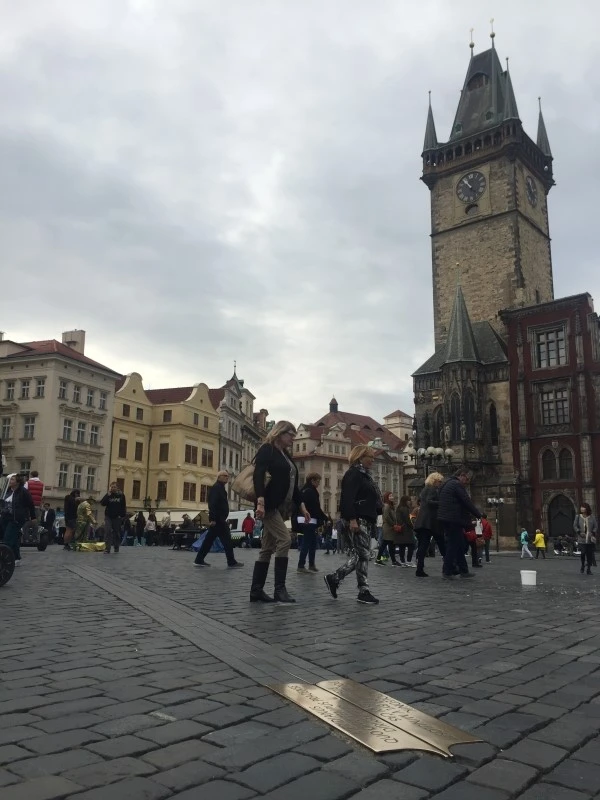 IMG_5931.JPG?type=w2