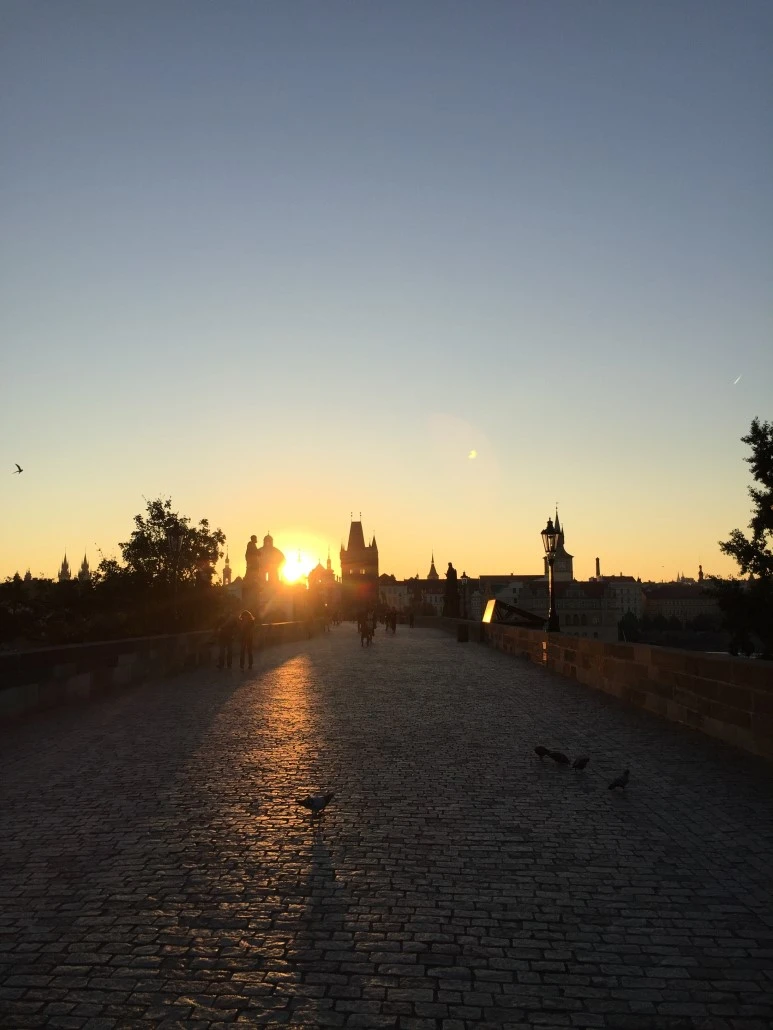 P20151001_142327762_EE9530C2-C45D-4B5E-A708-C3E893CD09EB.JPG?type=w773