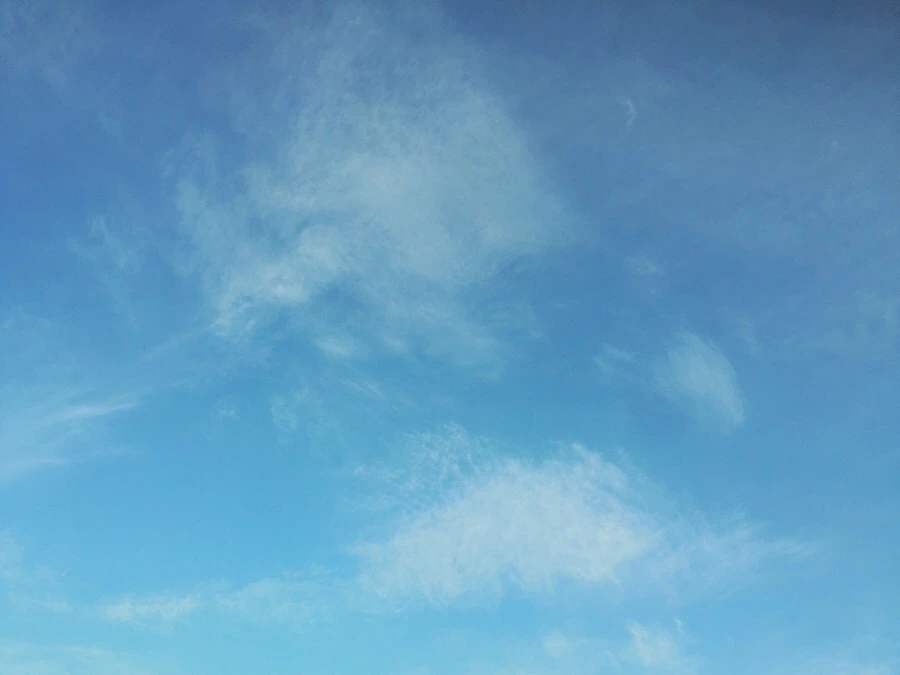 IMG_1365.jpg?type=w1