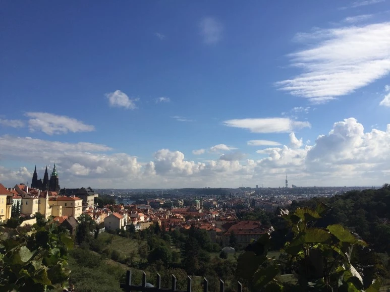 attachImage_1355115665.jpeg?type=w773