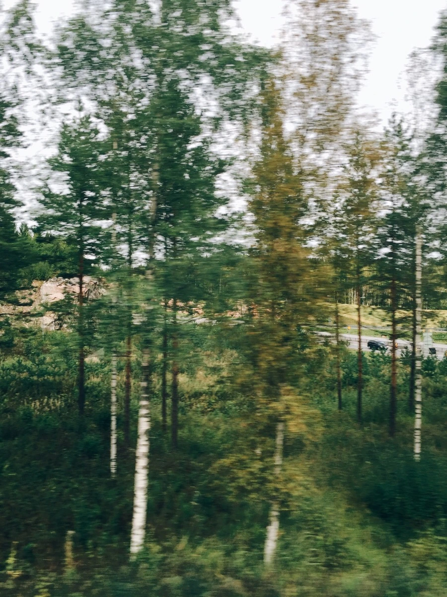 IMG_0895.jpg?type=w1