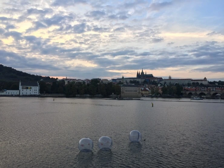 attachImage_2232752138.jpeg?type=w773