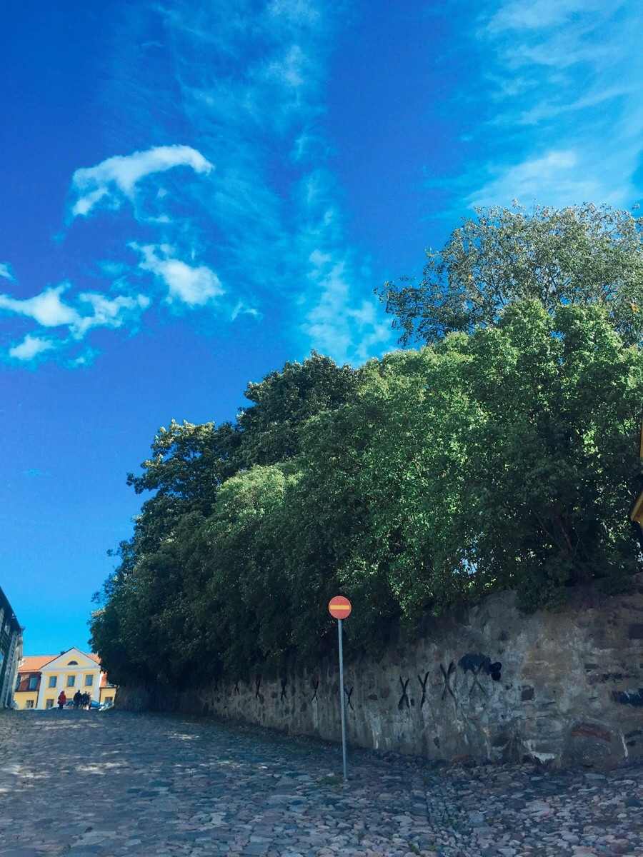 IMG_1449.jpg?type=w1