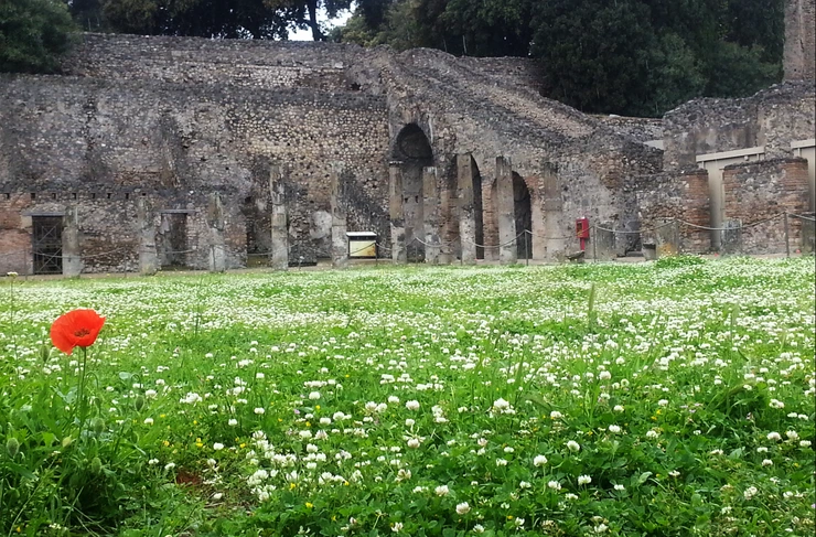 20140503_112847.png?type=w2