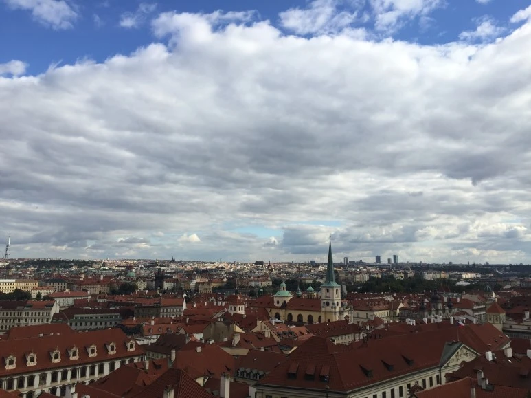 attachImage_1289348936.jpeg?type=w773