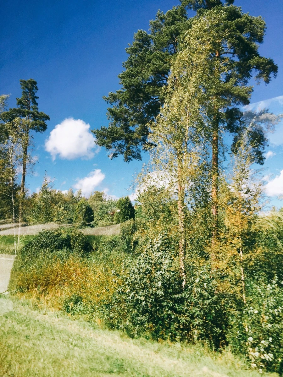 IMG_1563.jpg?type=w1