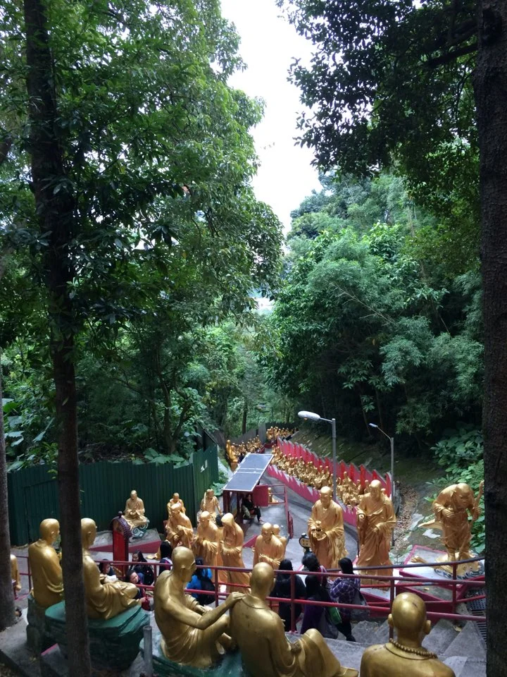 P20151228_205851000_9FFBEEAC-FCCF-4F76-A019-64A33127C1BD.JPG?type=w773