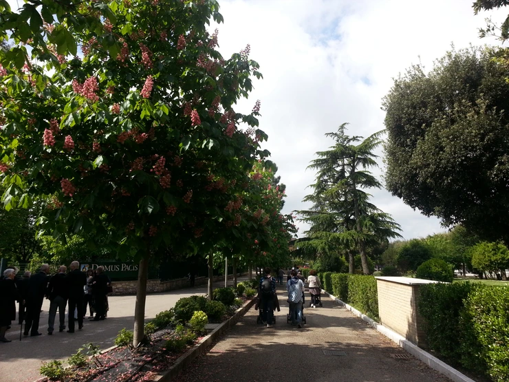 20140430_104617.png?type=w2