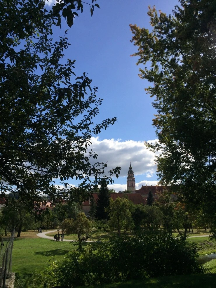 attachImage_2396929930.jpeg?type=w773