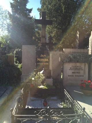 attachImage_260941694.jpeg?type=w773