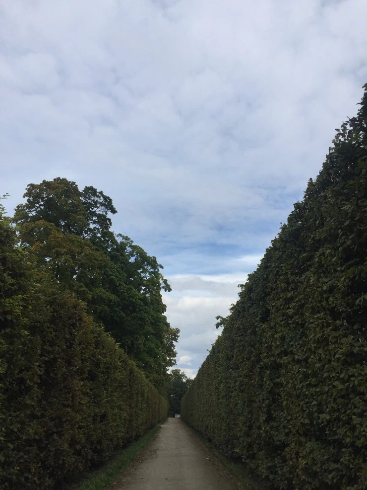 attachImage_652328769.jpeg?type=w773