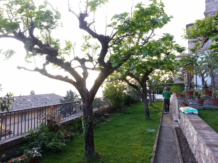 20140429_193313.png?type=w2