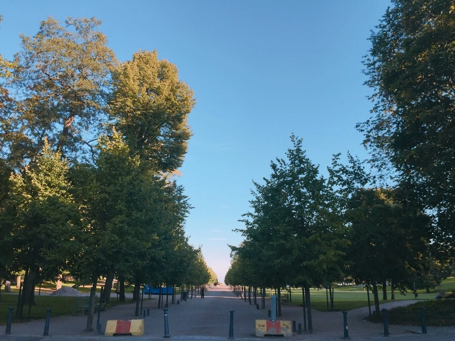 IMG_0810.jpg?type=w1