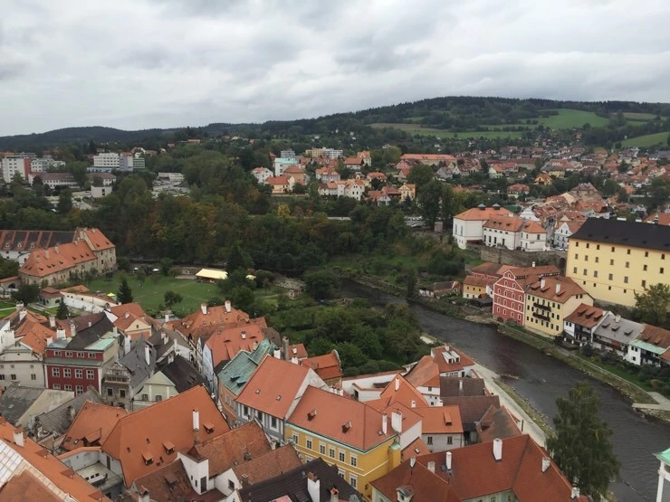 attachImage_1080707287.jpeg?type=w773