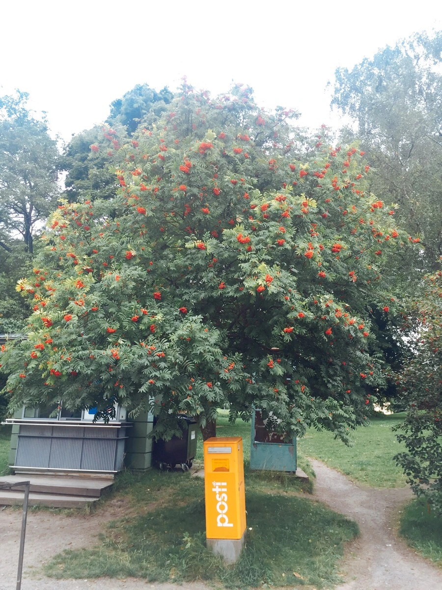 IMG_0710.jpg?type=w1