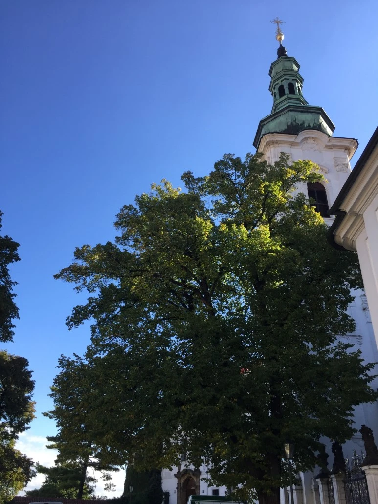 attachImage_3921852456.jpeg?type=w773