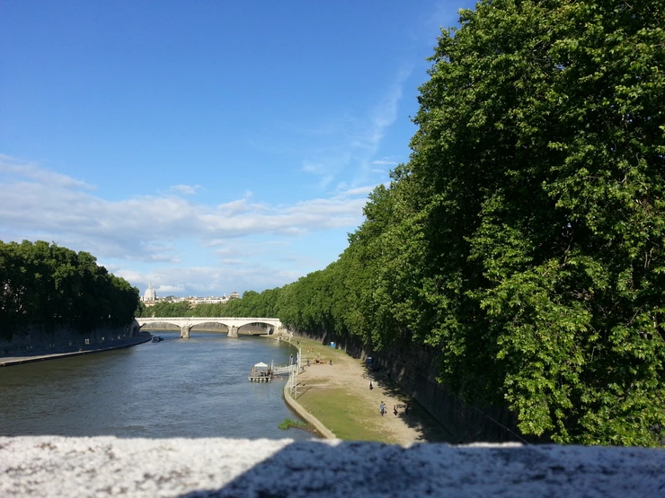 20140501_175925.png?type=w2