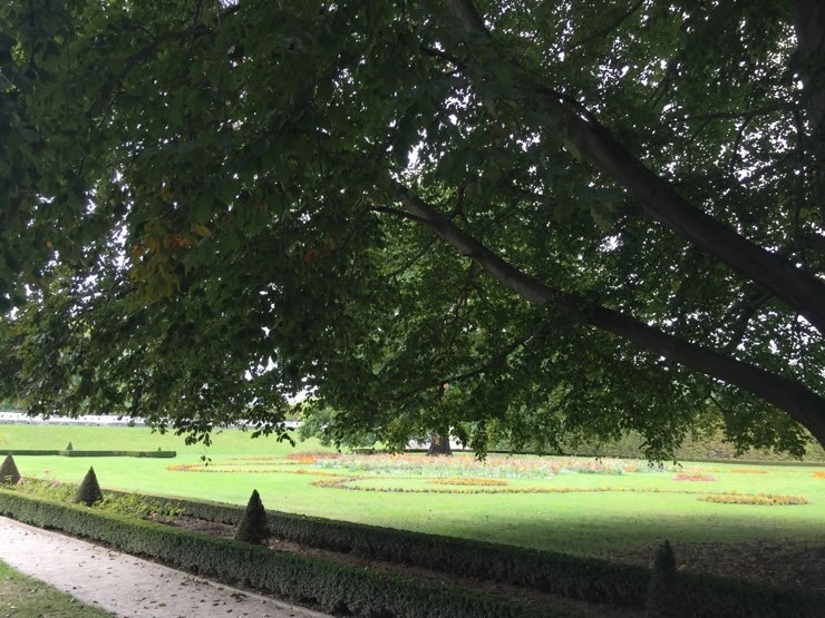 attachImage_395453779.jpeg?type=w773