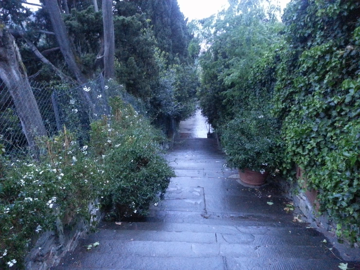 20140427_200904.png?type=w2