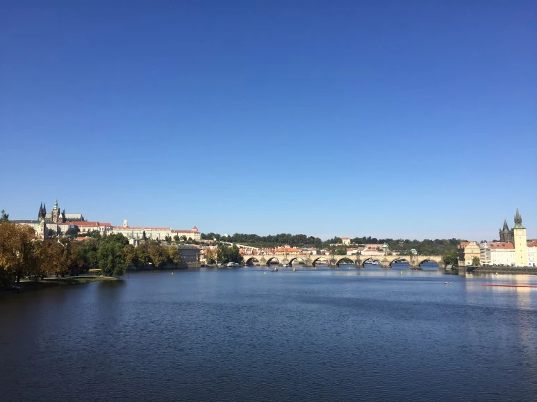 P20151001_200450532_A61DDA1C-35DA-4419-A1F0-B961266DC1ED.JPG?type=w773