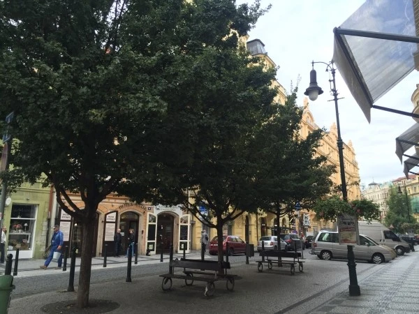 IMG_5800.JPG?type=w2