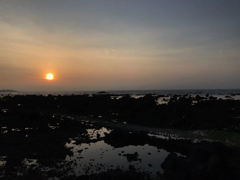 IMG_0235.jpg?type=w773